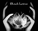 Avatar von BlackLotus