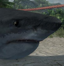 Avatar von cryfish