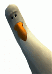 Avatar von Denzio