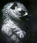 Avatar von MC_CRYNALL