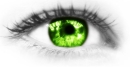 Avatar von Mr.Toast