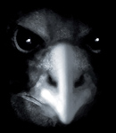 Avatar von olideca