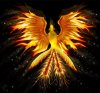 Avatar von Phoenix-CH