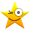 Star Wink