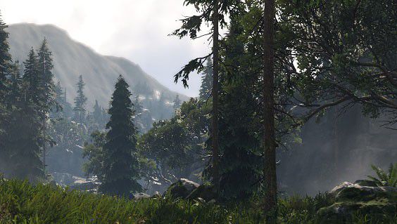 lumberyard woodland