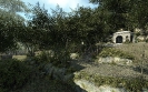 Crysis