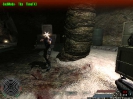 FarCry Screenshot_98