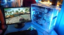 GamesCom 2008_21