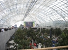 GamesCom 2008_8